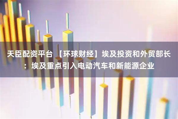 天臣配资平台 【环球财经】埃及投资和外贸部长：埃及重点引入电动汽车和新能源企业