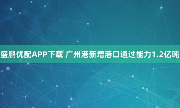 盛鹏优配APP下载 广州港新增港口通过能力1.2亿吨